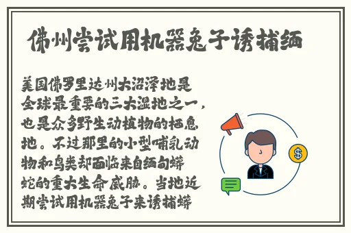 媚娘网